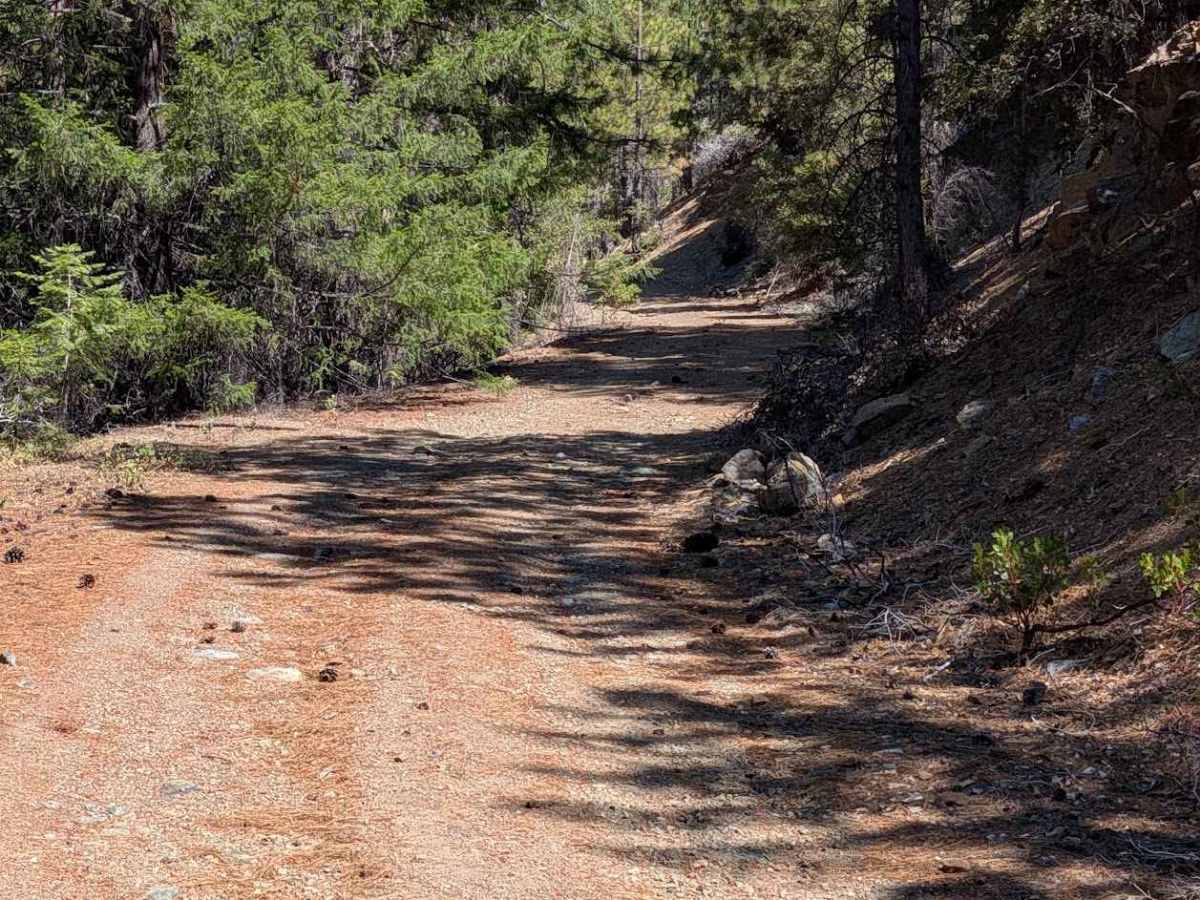 Smokey Creek Road - FS 29N49 trail photo