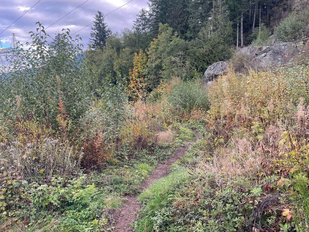Trials Zone Access photo 6