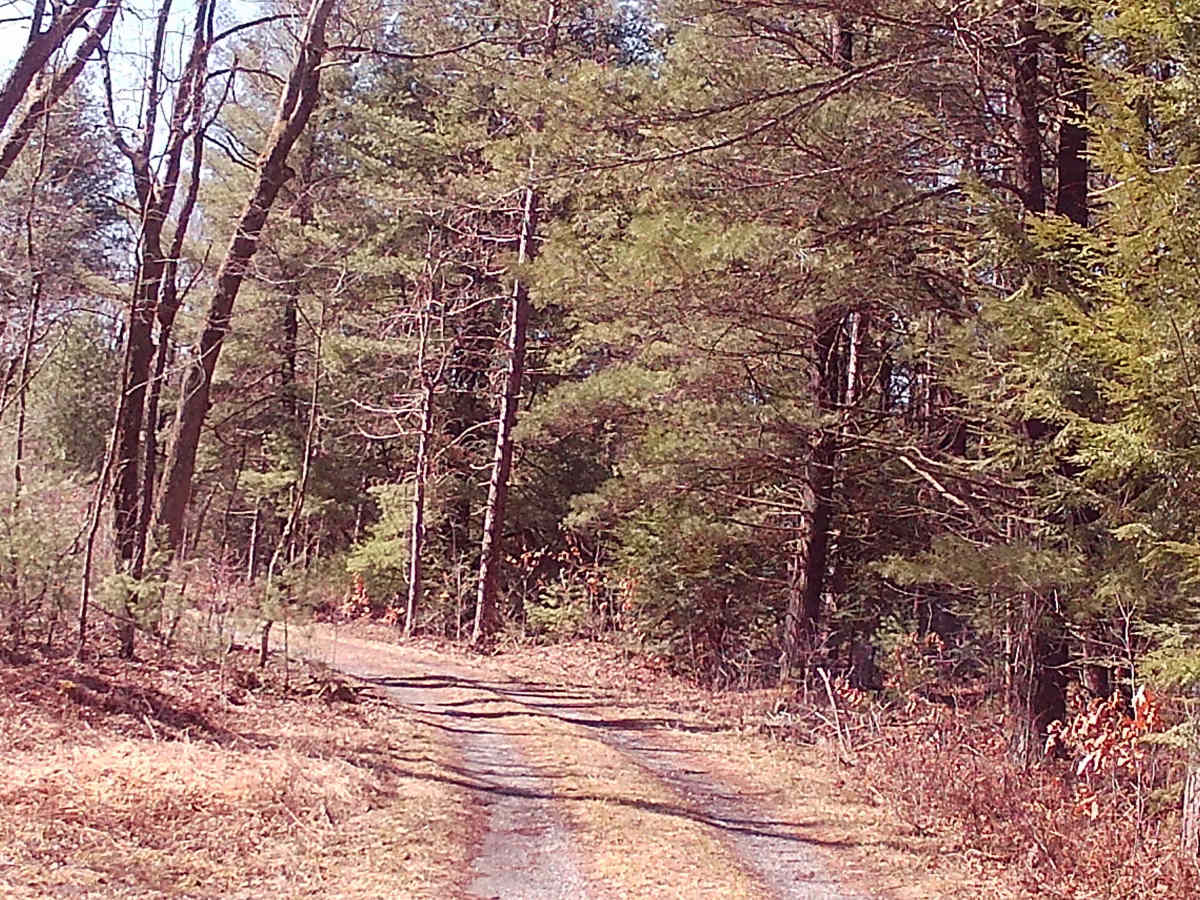 Smays Run Trail photo 3