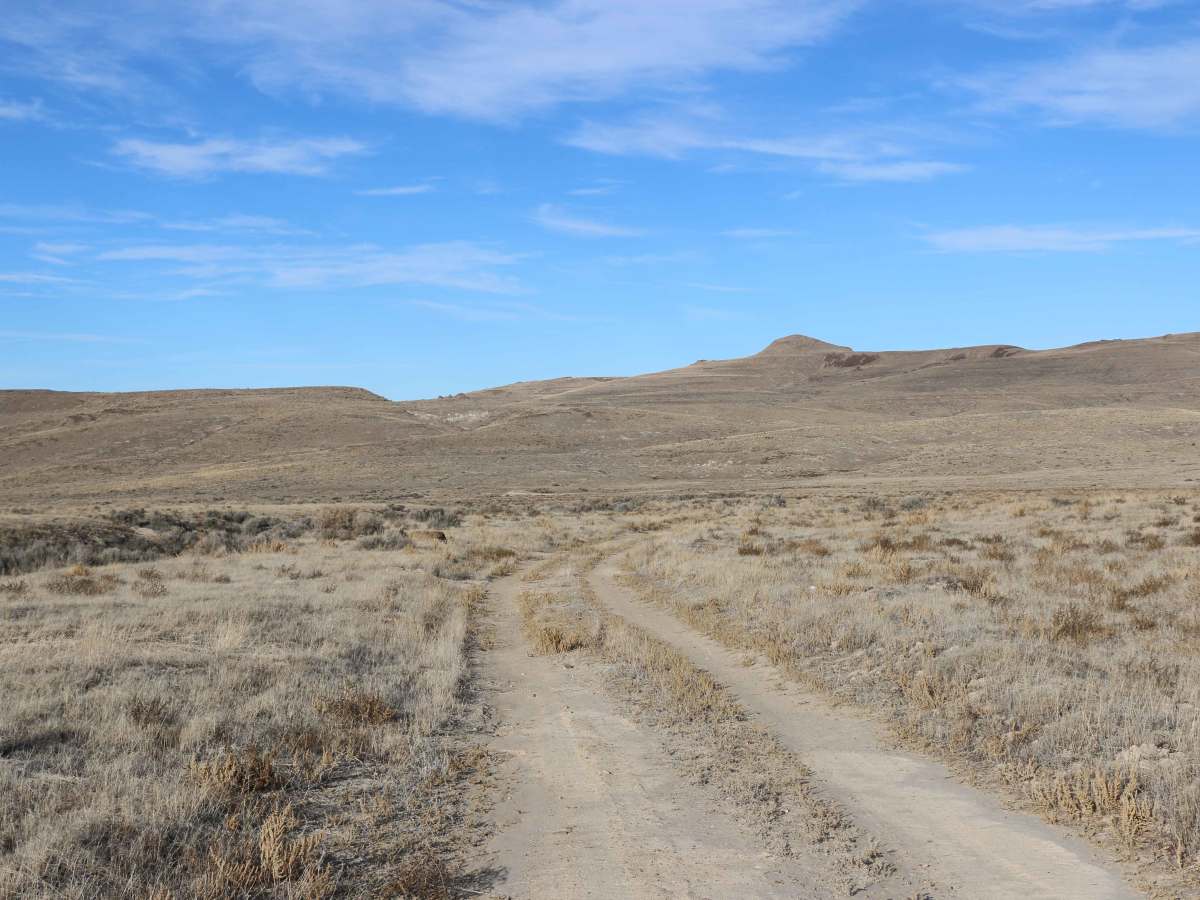 Tumbleweed Lane photo 5