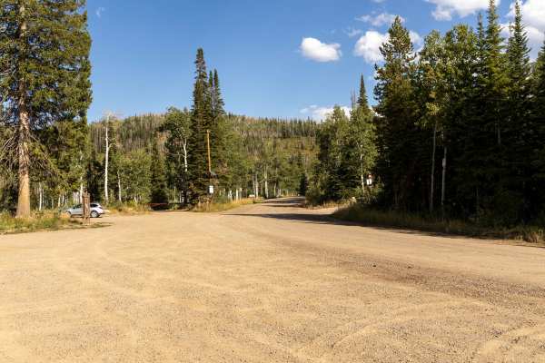 Buffalo Pass