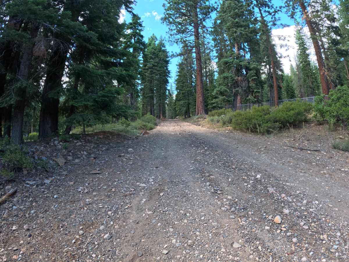 Carnelian Road - FS 16N63 photo 4
