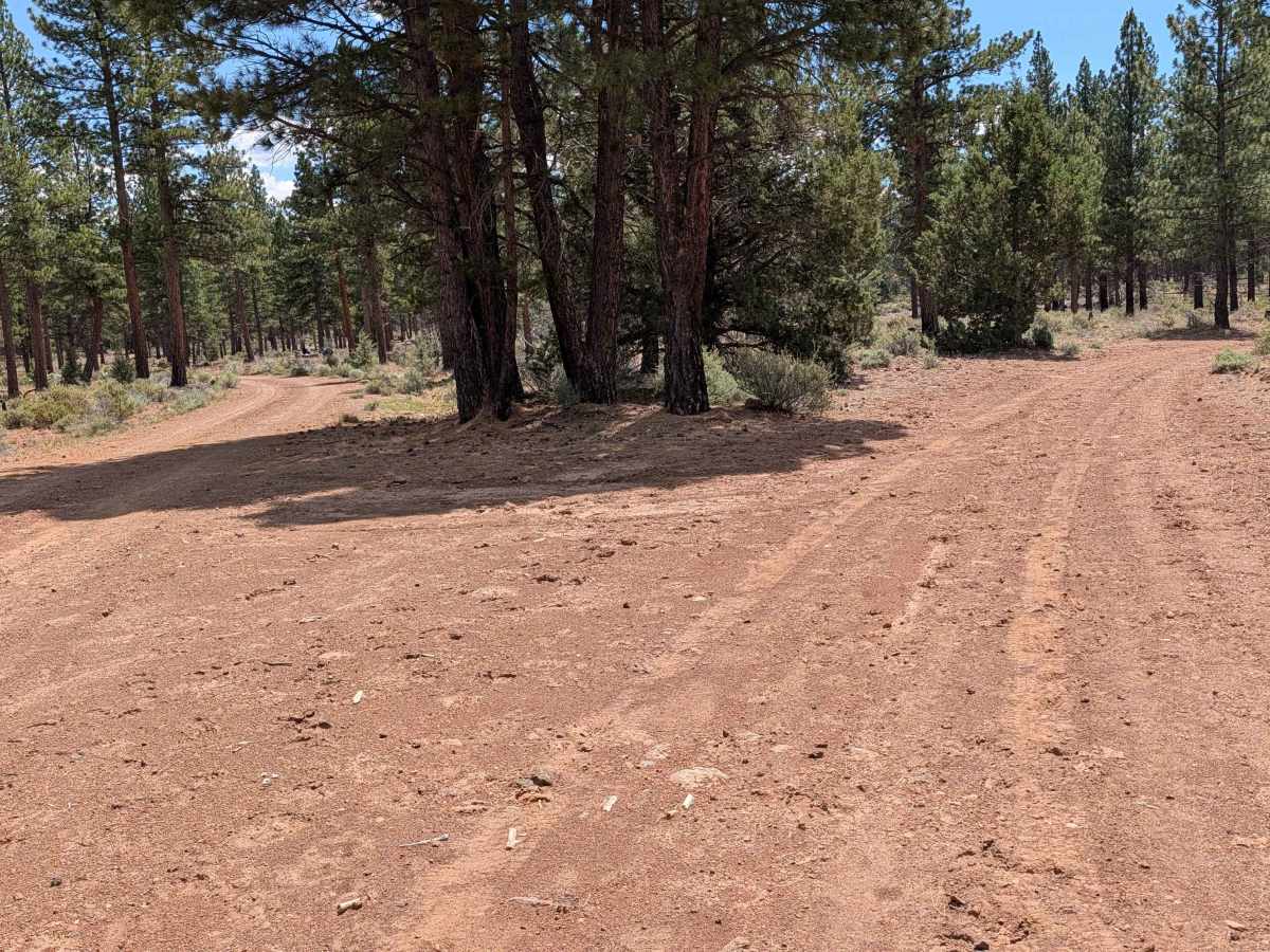 Cutoff - FS 44N13 trail photo