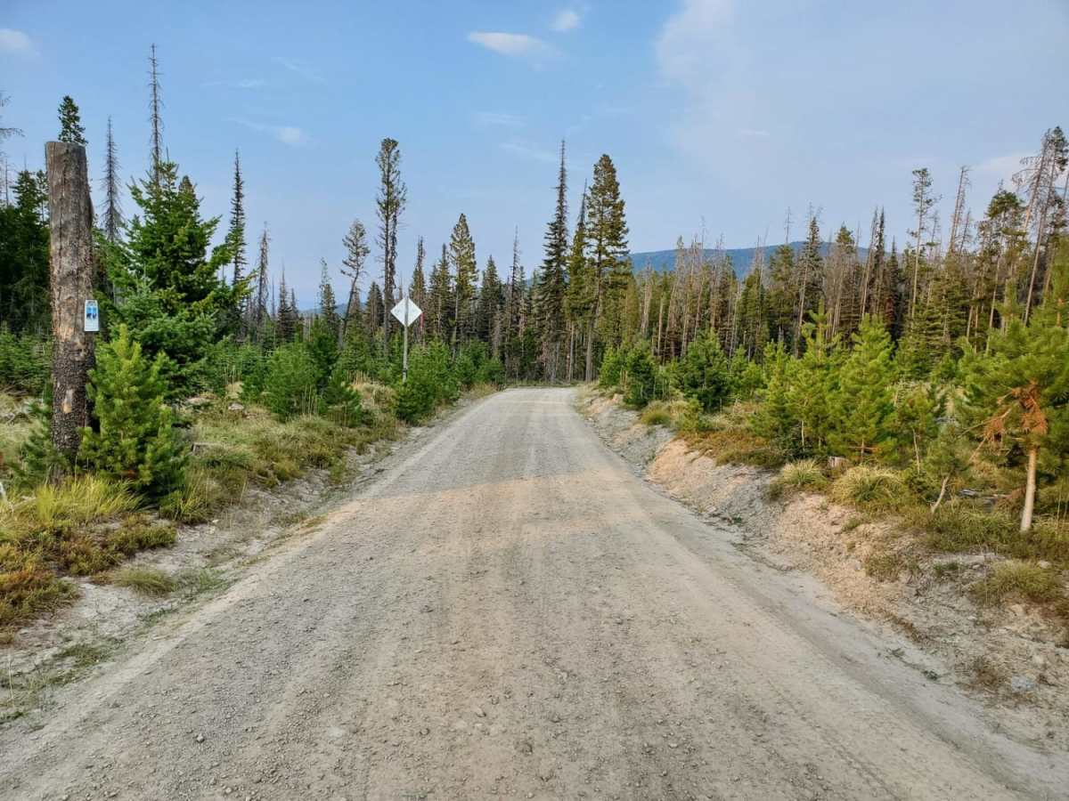 Dalton Mountain Road photo 5