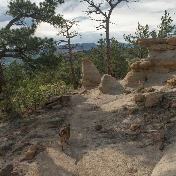 Near Grandview Trail