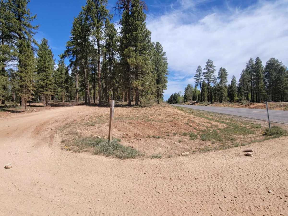 Duck Creek Way photo 2