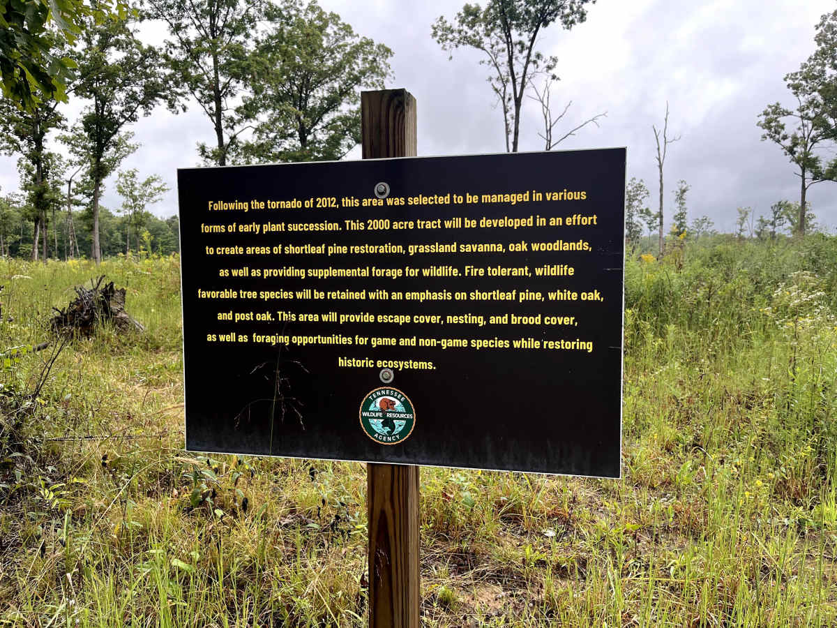Otter Creek Road  photo 6