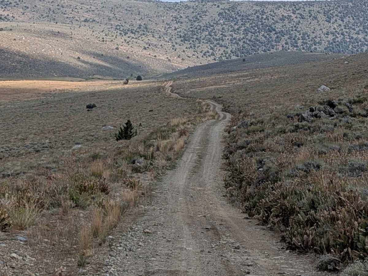 Upper Summer Meadows Road - FS 32144 photo 3