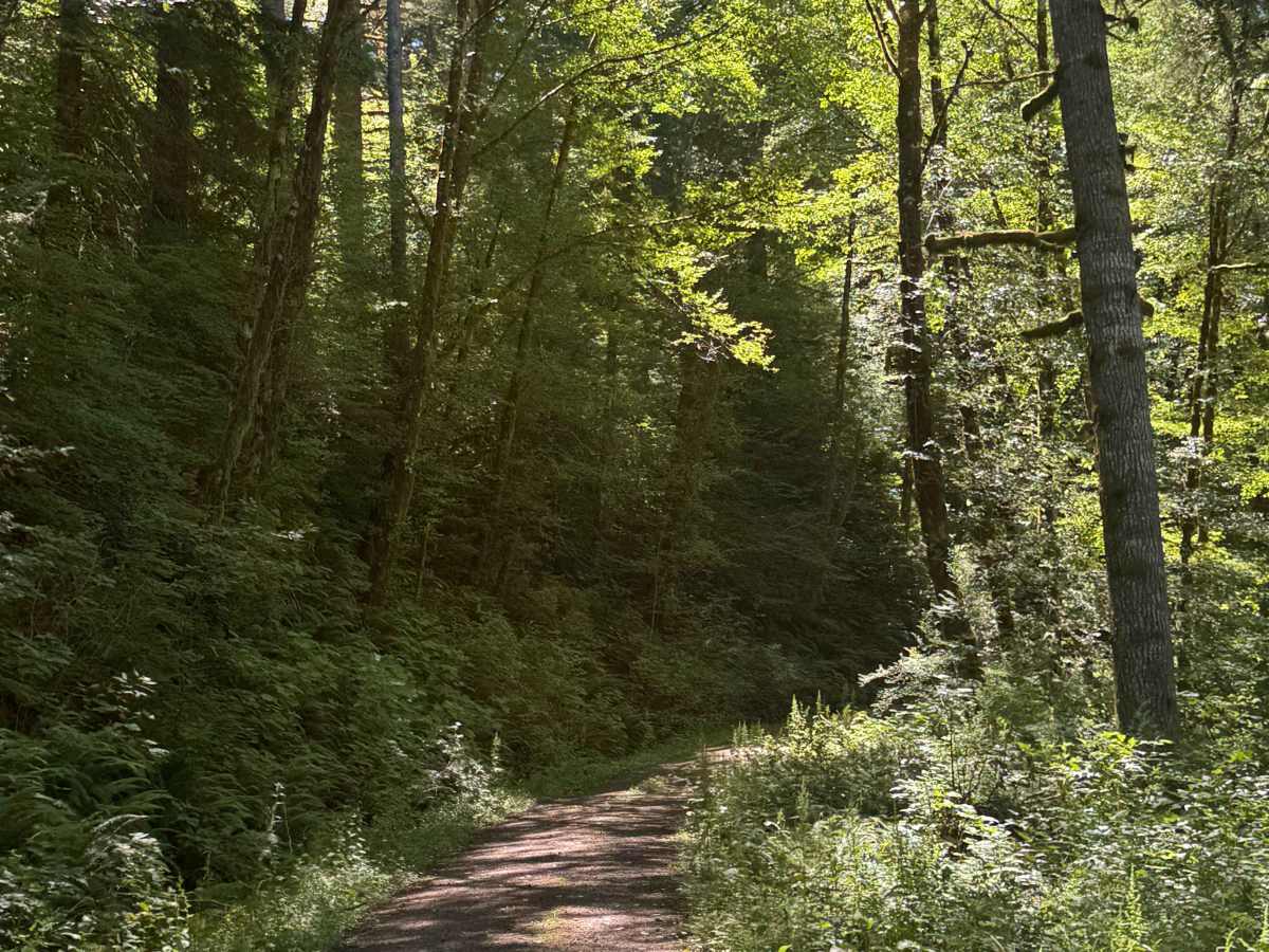 Coast Ridge - FS 2202 photo 2