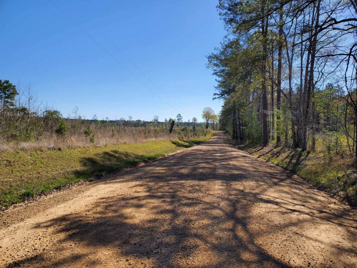 The Arkansas Overland Route - Section 1 - Falcon Bottoms Back Roads photo 4