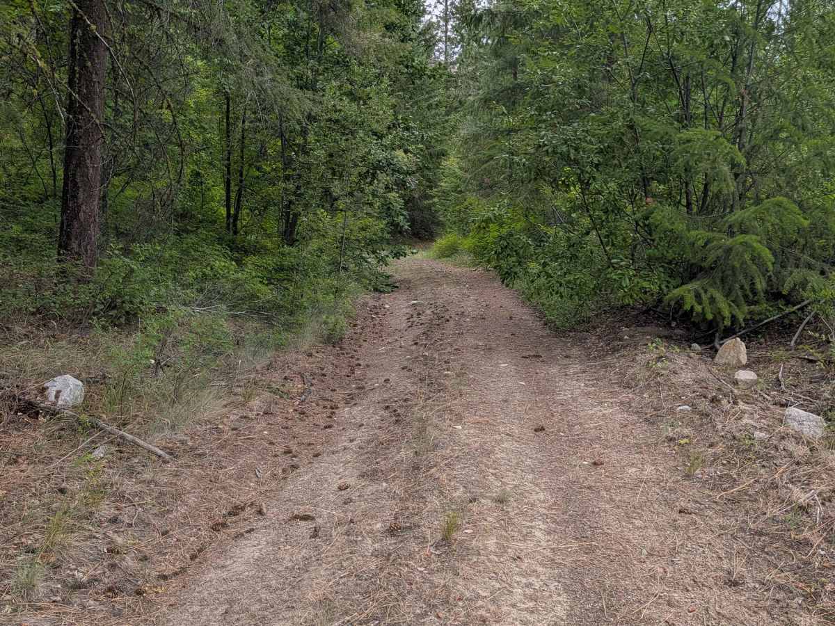 FS 4150-265 photo 6