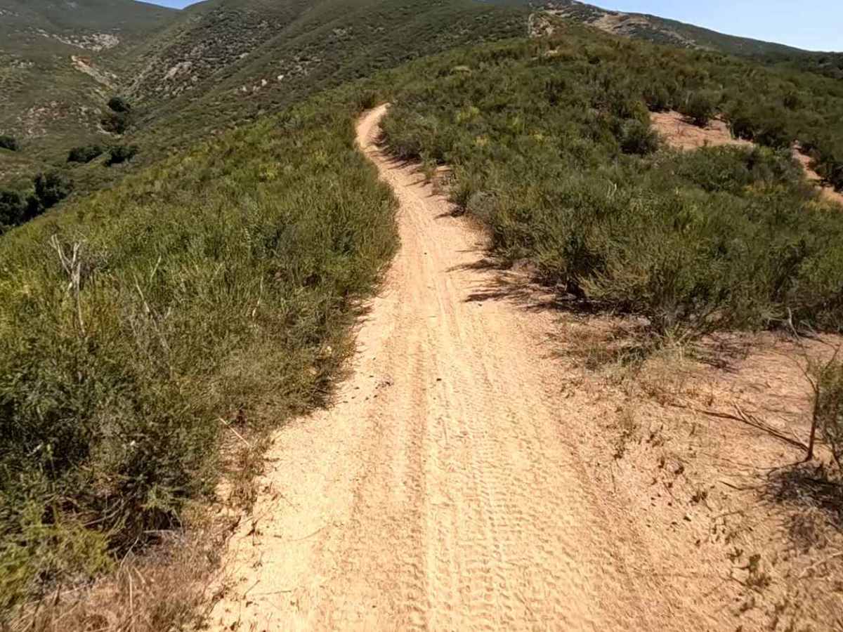 Coyote OHV Trail trail photo