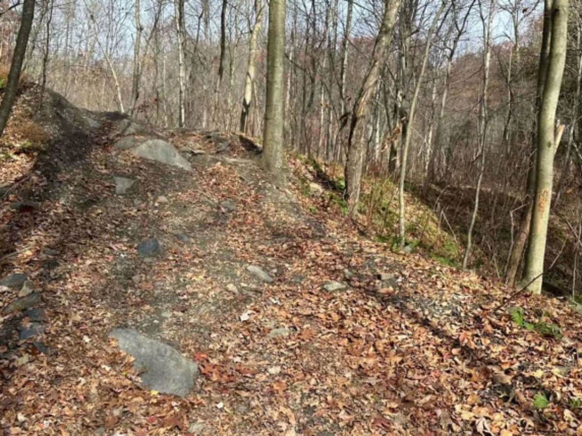 Ashland 151 photo 5