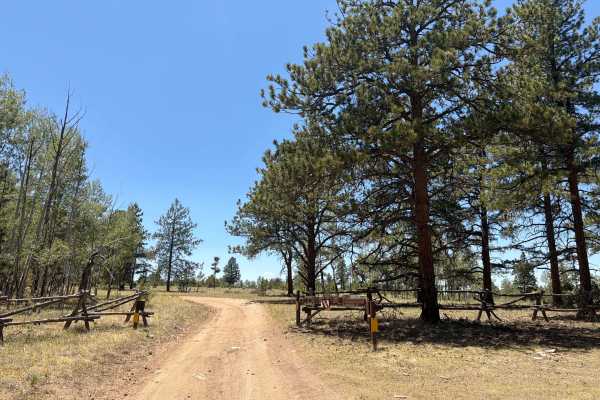 Burma Shave Road - FS 242