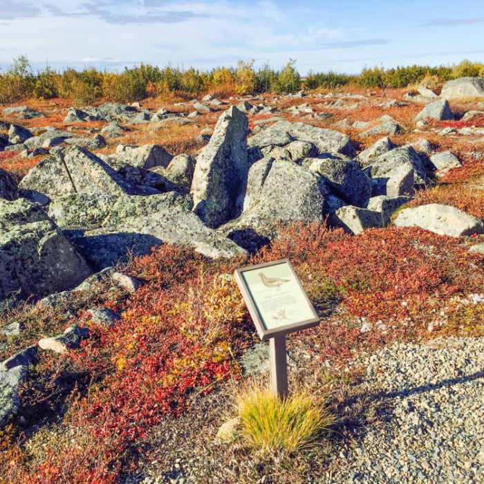 Near Finger Mountain Near Finger Mountain