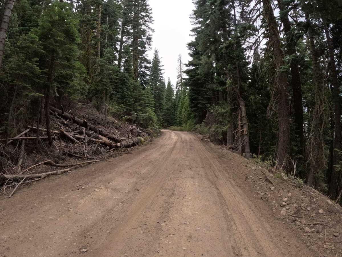 Chapman Saddle - FS 21N09 photo 6