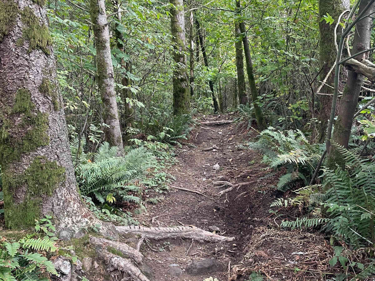 Blue Connector trail photo