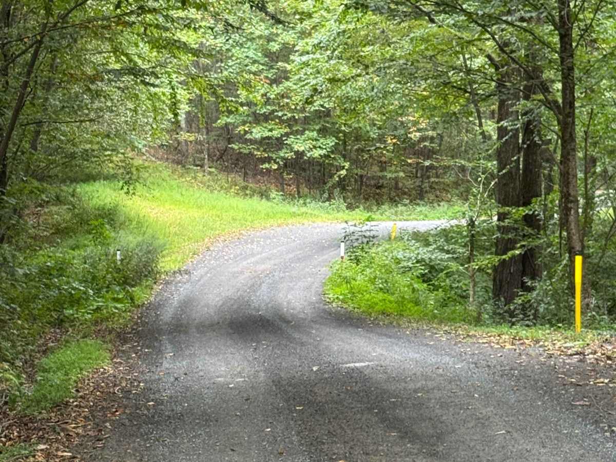 Long Run Road photo 5
