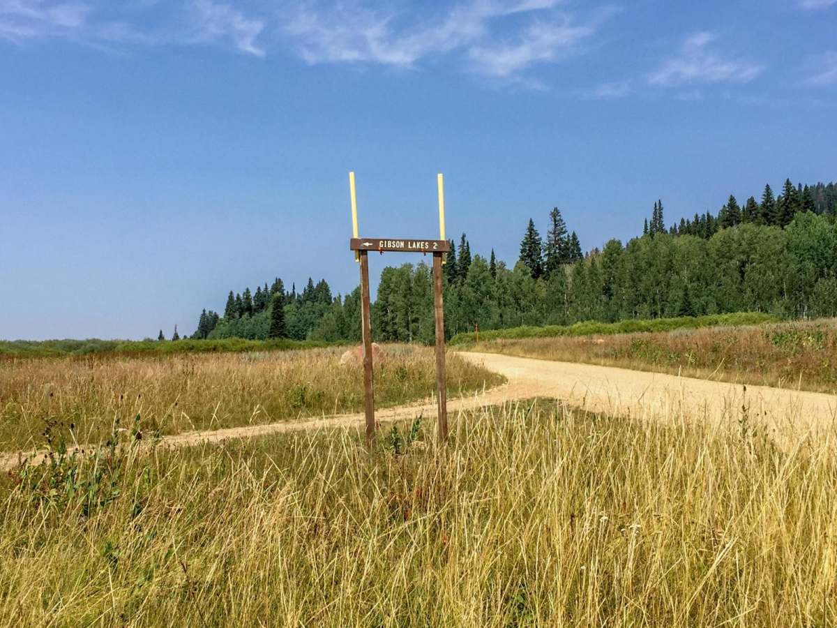 Gibson Lakes trail photo