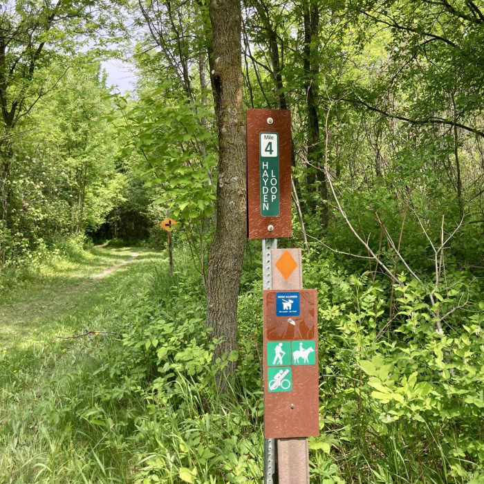 Near Hayden Lollipop Loop