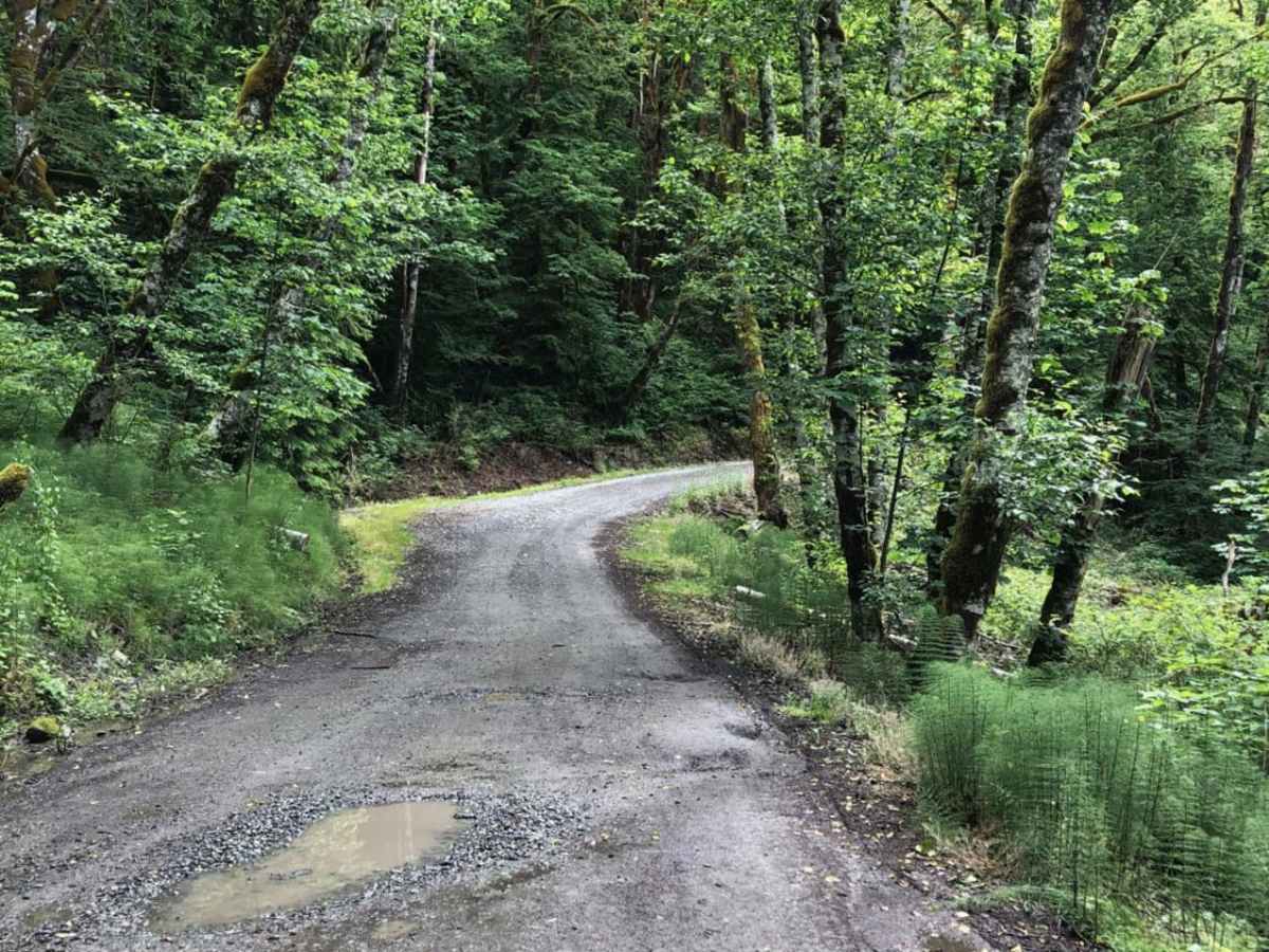 Middle Fork/Goldmeyer Rd photo 6