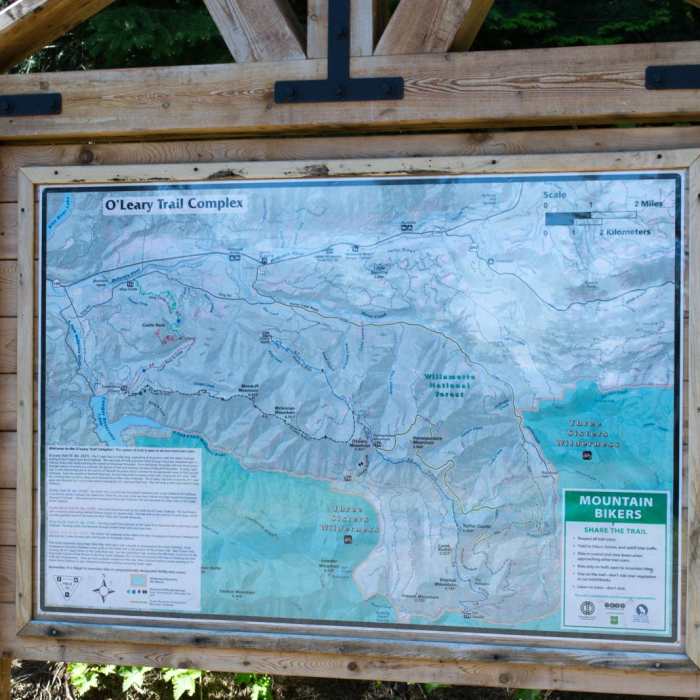 Near Horsepasture Mountain Trail