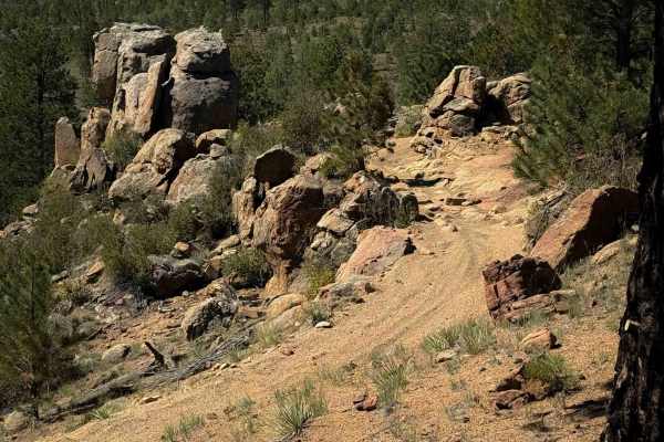 Signal Butte Trail 717 (Northwest Segment)