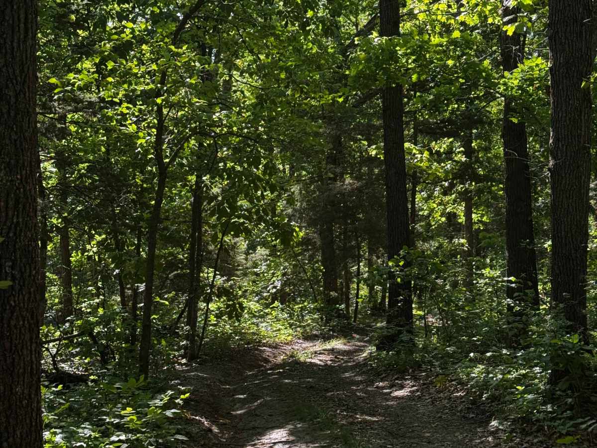 Inner Trail 8 photo 2