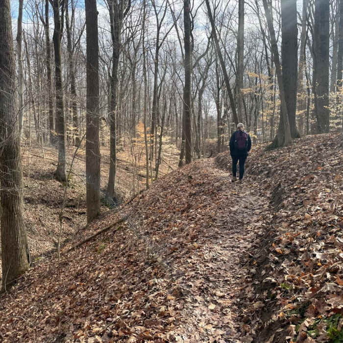 Near Tall Timbers Nature Trail