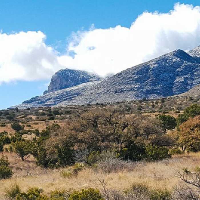 Near Manzanita - Smith Spring Loop