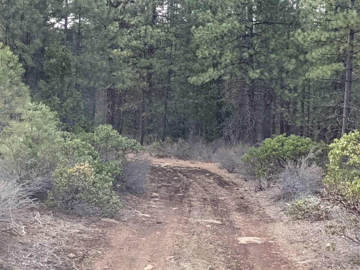 North Indian Ford photo 2