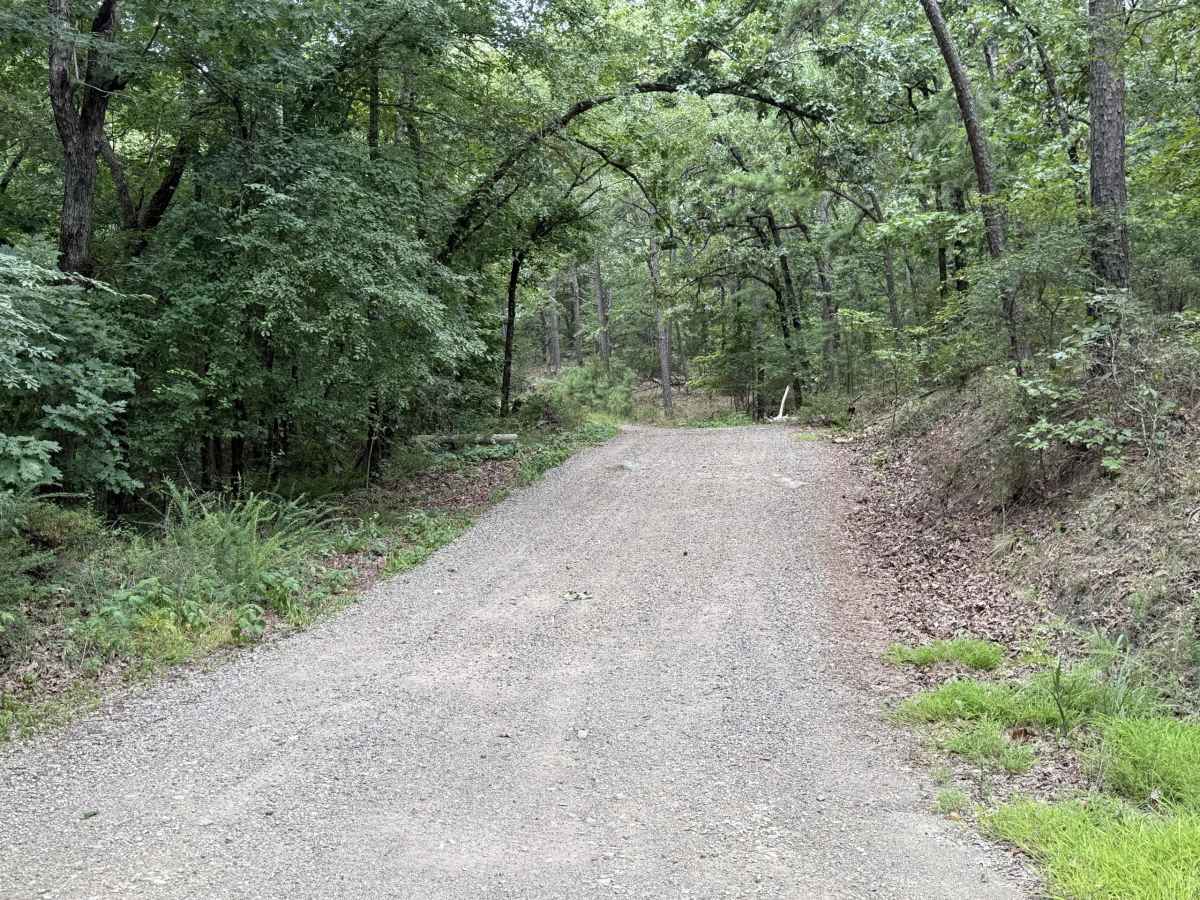 Polk County Road 36 photo 3