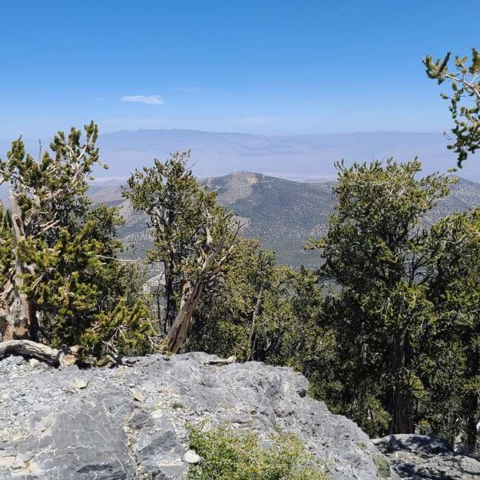 Near Fletcher Peak Out-and-Back