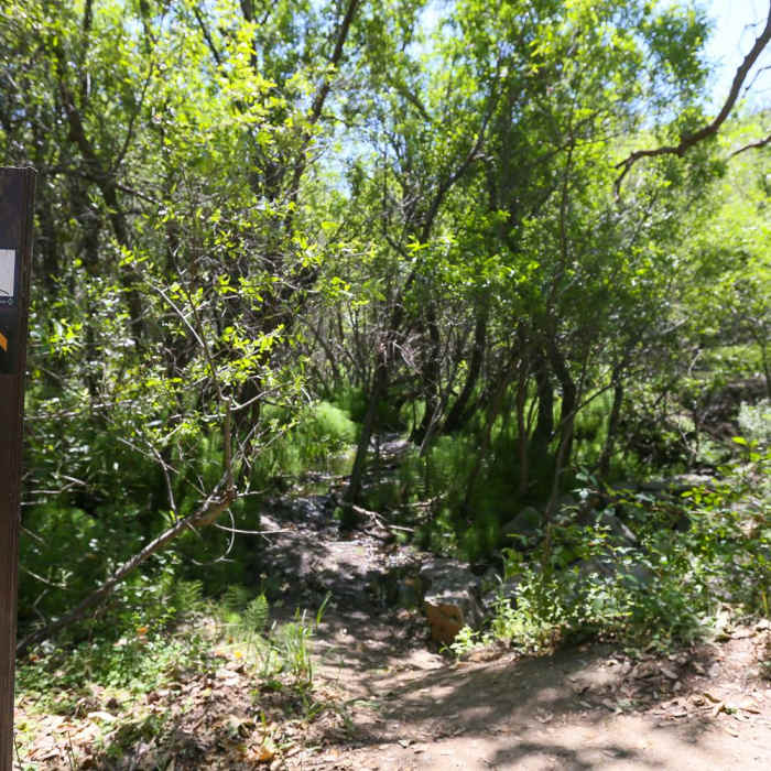 Near Reservoir Canyon Falls