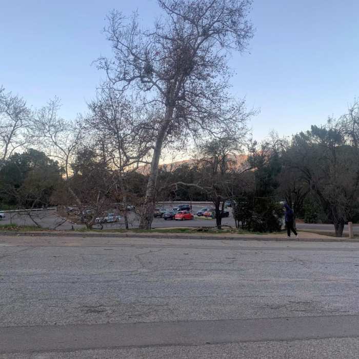 Near Griffith Park East Side Loop Near Griffith Park East Side Loop