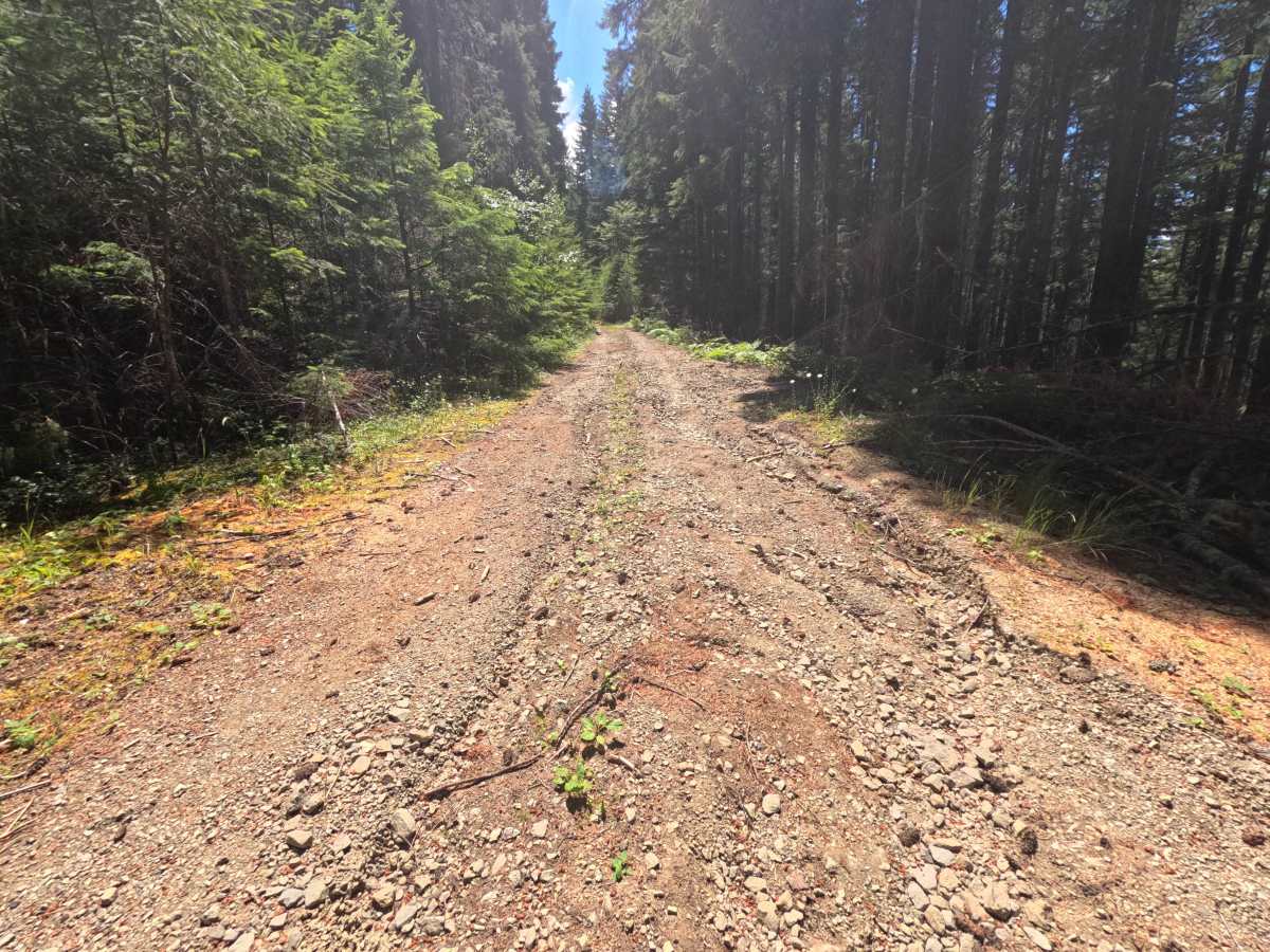 Purcell Creek - FS 4610000 photo 3