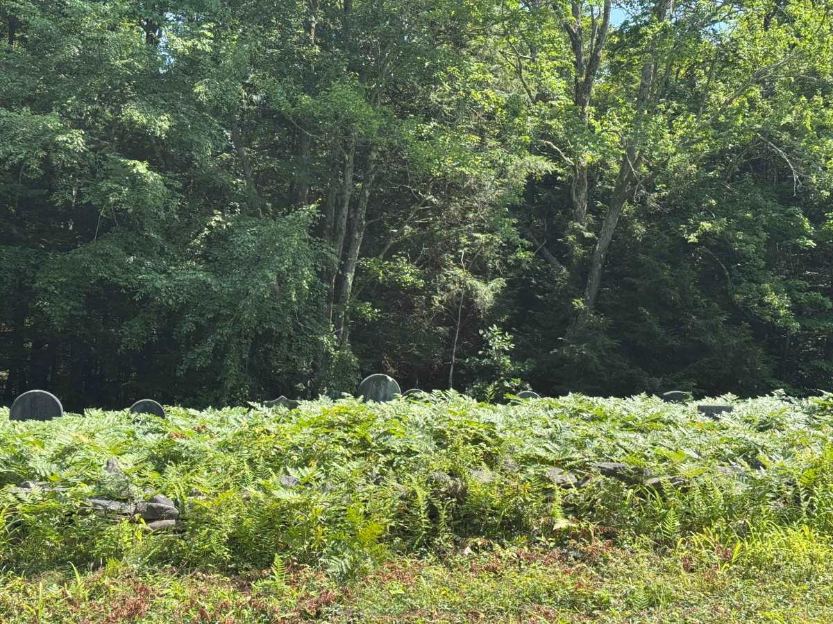 Morey Road photo 4