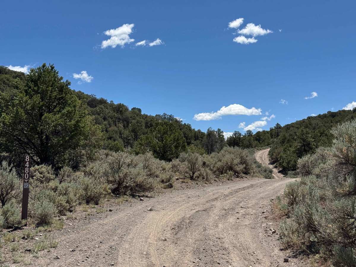 BLM 8480 photo 6