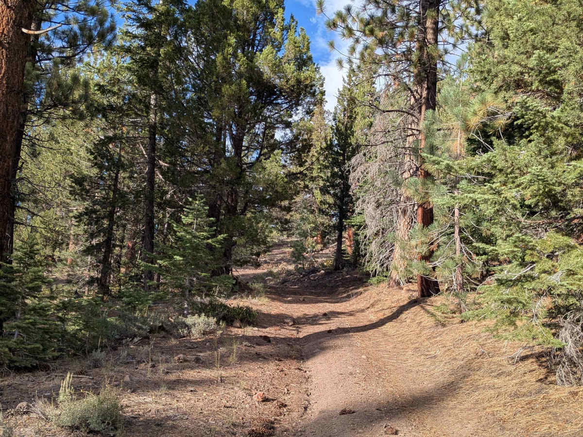 High Peak Road - FS 31050 photo 2