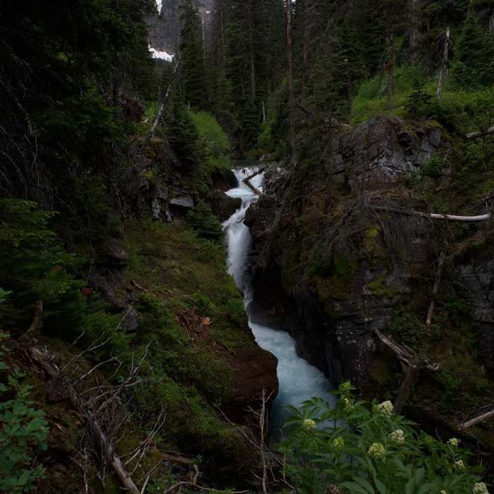 Near Grinnell Lake Trail
