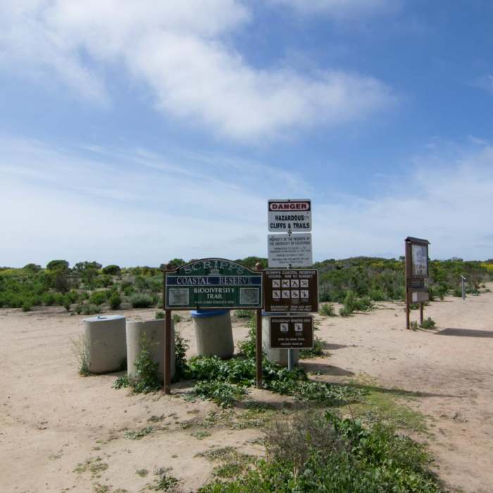 Near Scripps Coastal Reserve