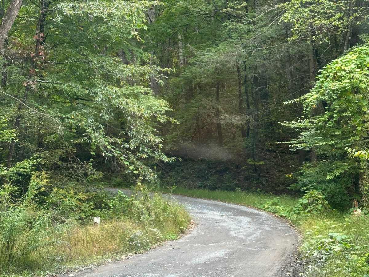 Brandywine Range photo 2