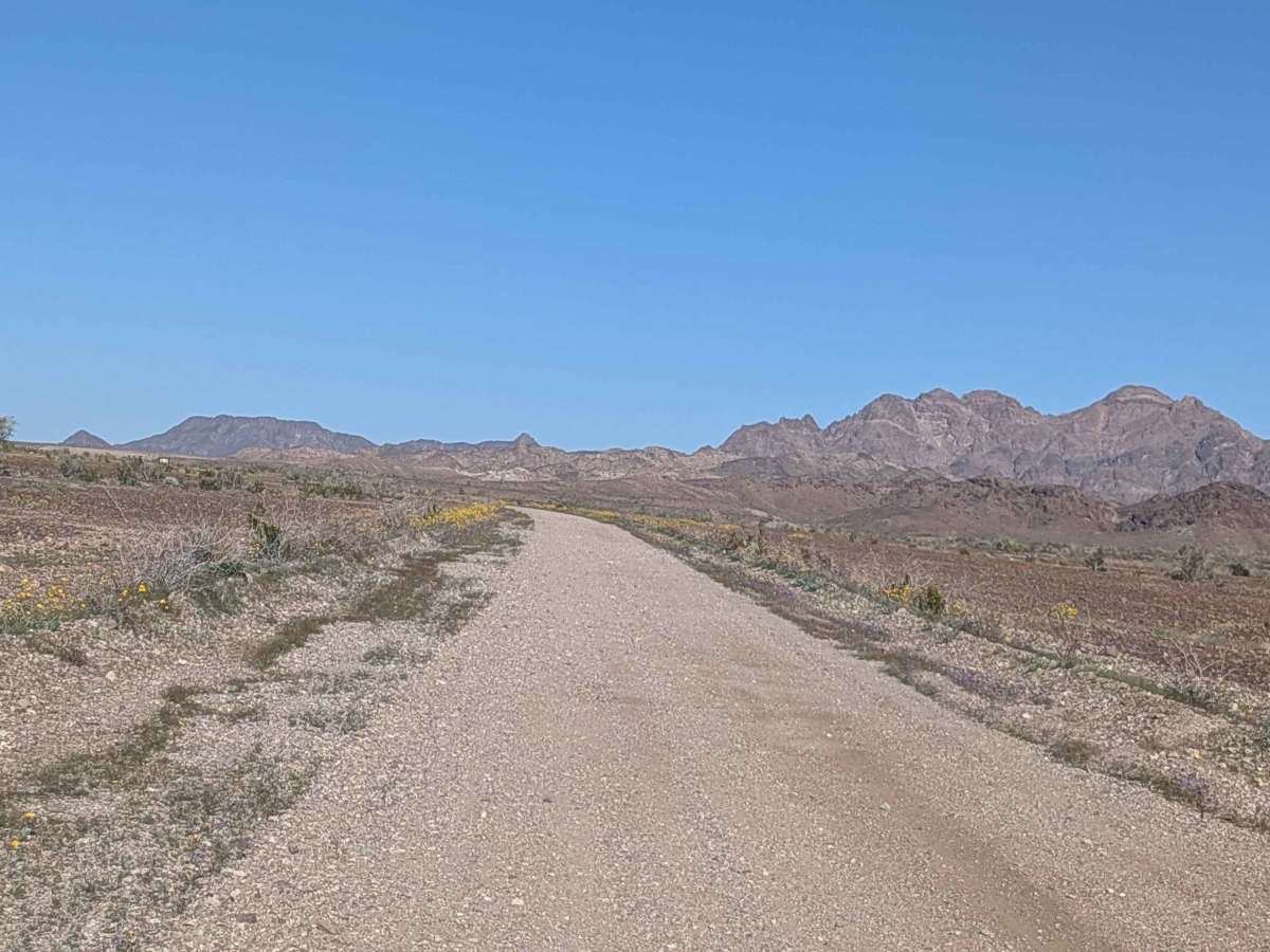 Cibola Lake Road - EC1080 photo 6