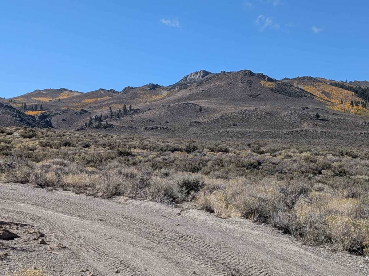 North Canyon / Baxter Road - FS 1S15A photo 4