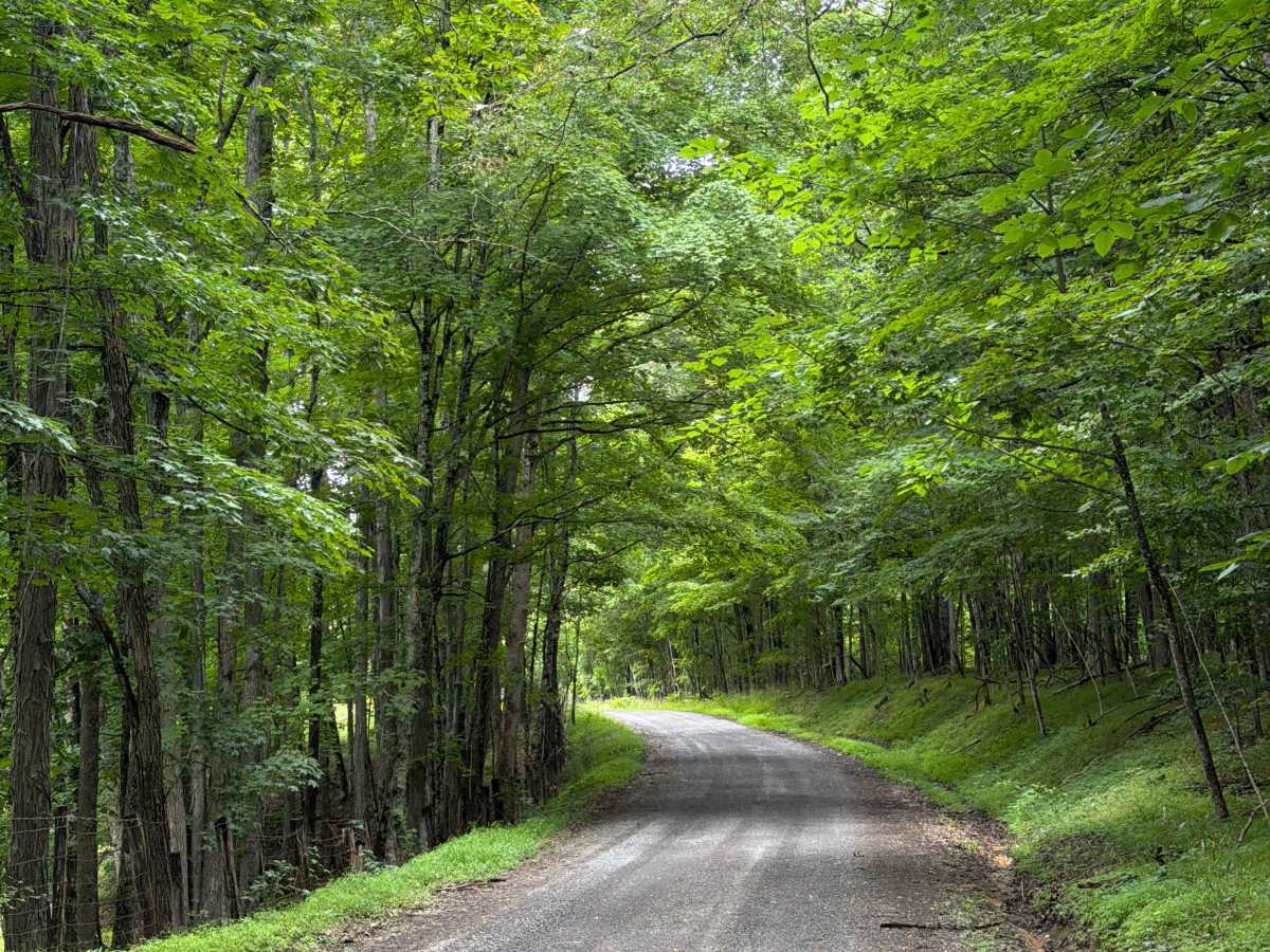 George Hill Road photo 2