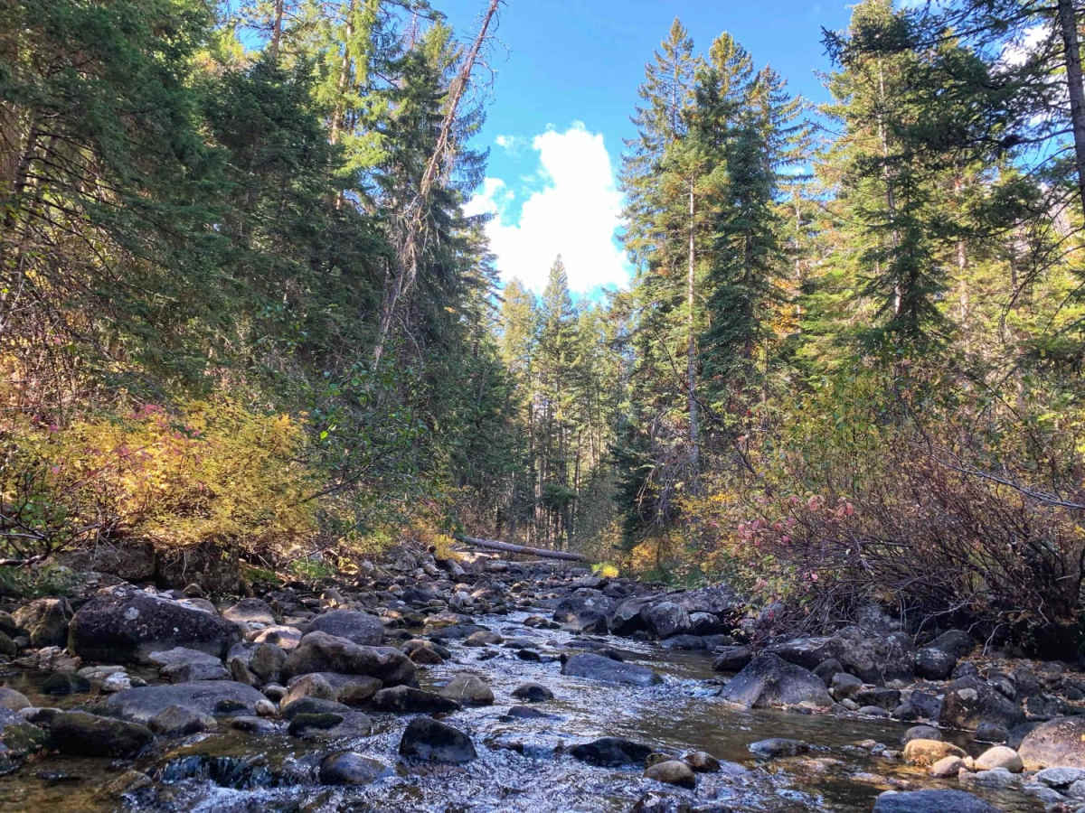 Blodgett Hiking Trail and Campground trail photo