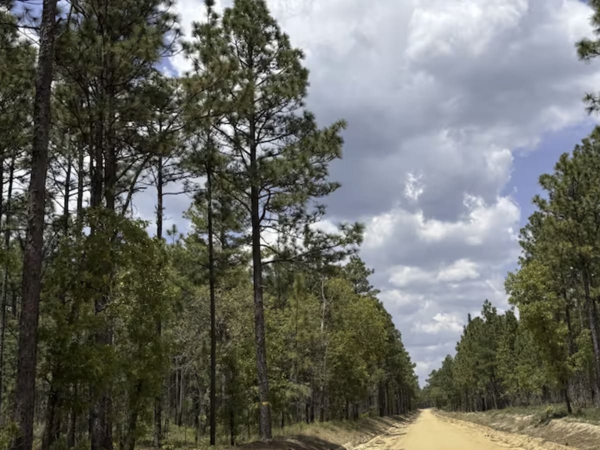 Swift Creek Road  photo 5