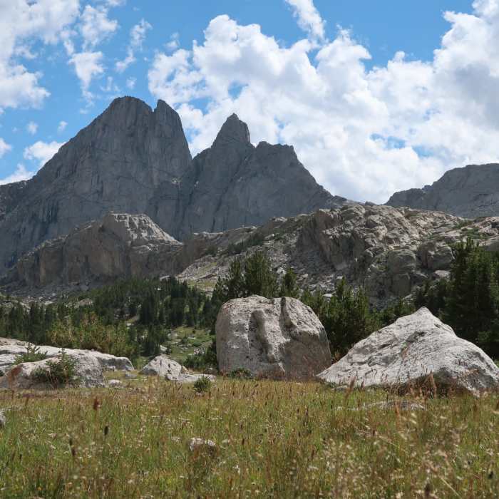 East Temple and Steeple Peak from the Black Joe drainage. Near Wind River Peak Trail