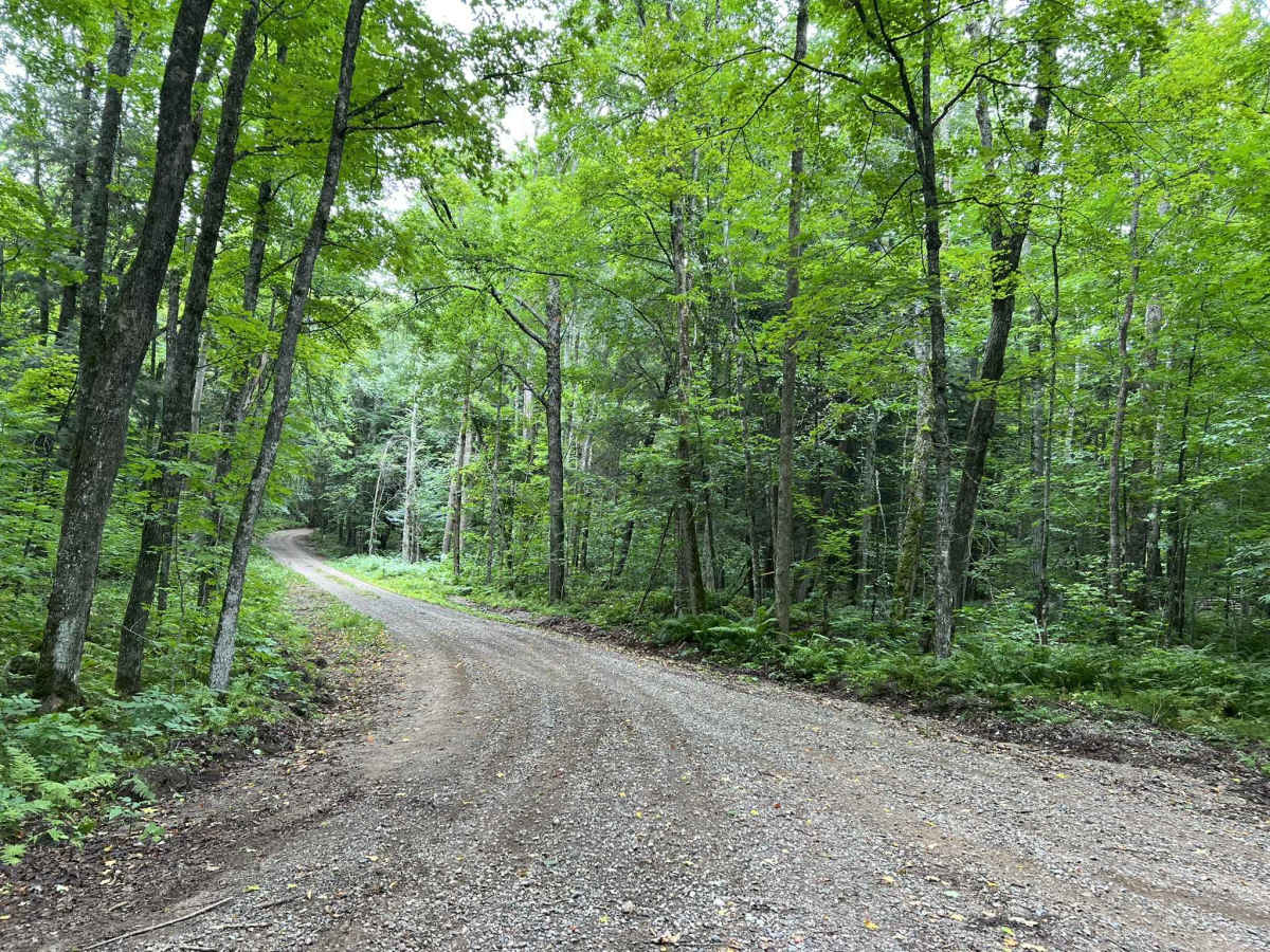 Loop Rd - FS 3903 trail photo