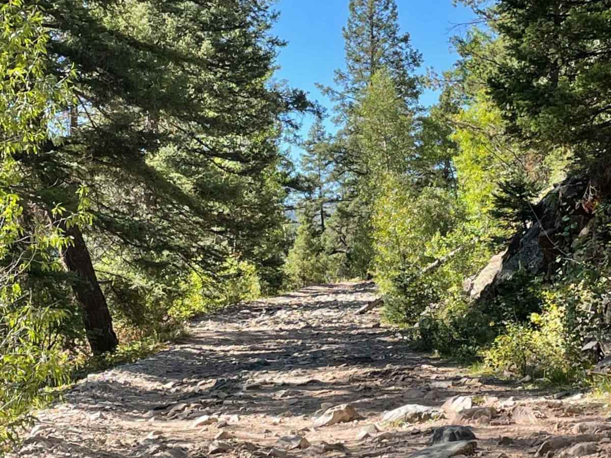 Lime Creek Road trail photo